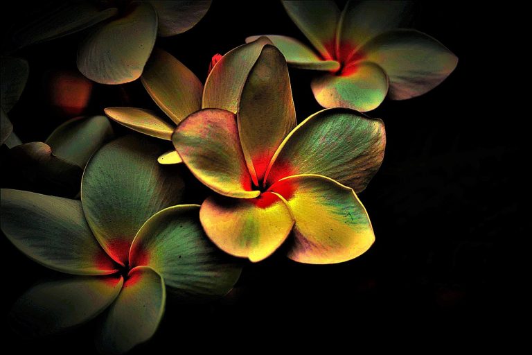 Reikiworks abstract